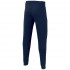 b nsw club flc jogger pant.